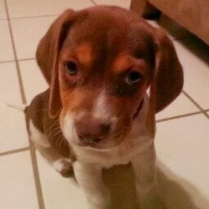 Meet your Posher, Janie